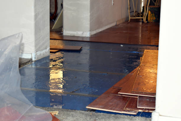 Professional Water Damage technician working in Aniwa, WI
